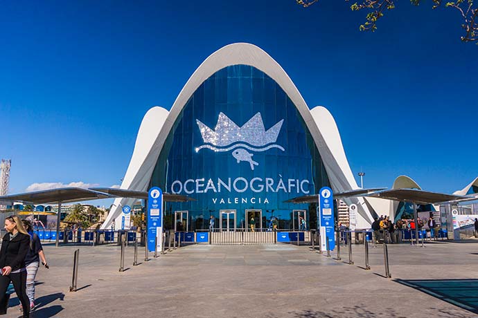 aquarium de valence oceanografic faune marine