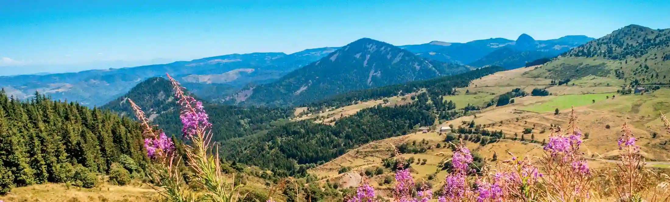 Projet voyage scolaire collège lycée : la chaine-des-puys Auvergne-volcans