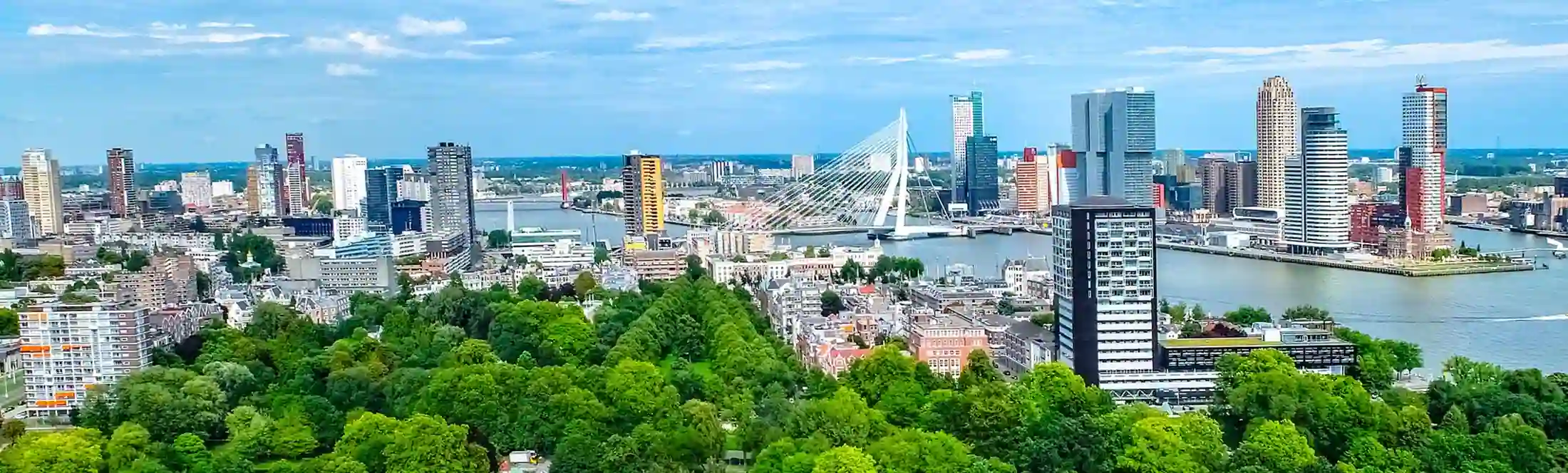 Voyage Scolaire à Rotterdam classe de seconde et première