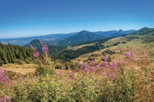 Image chaine-des-puys Auvergne-volcans, terre de feu Voyage Scolaire Côté Découvertes