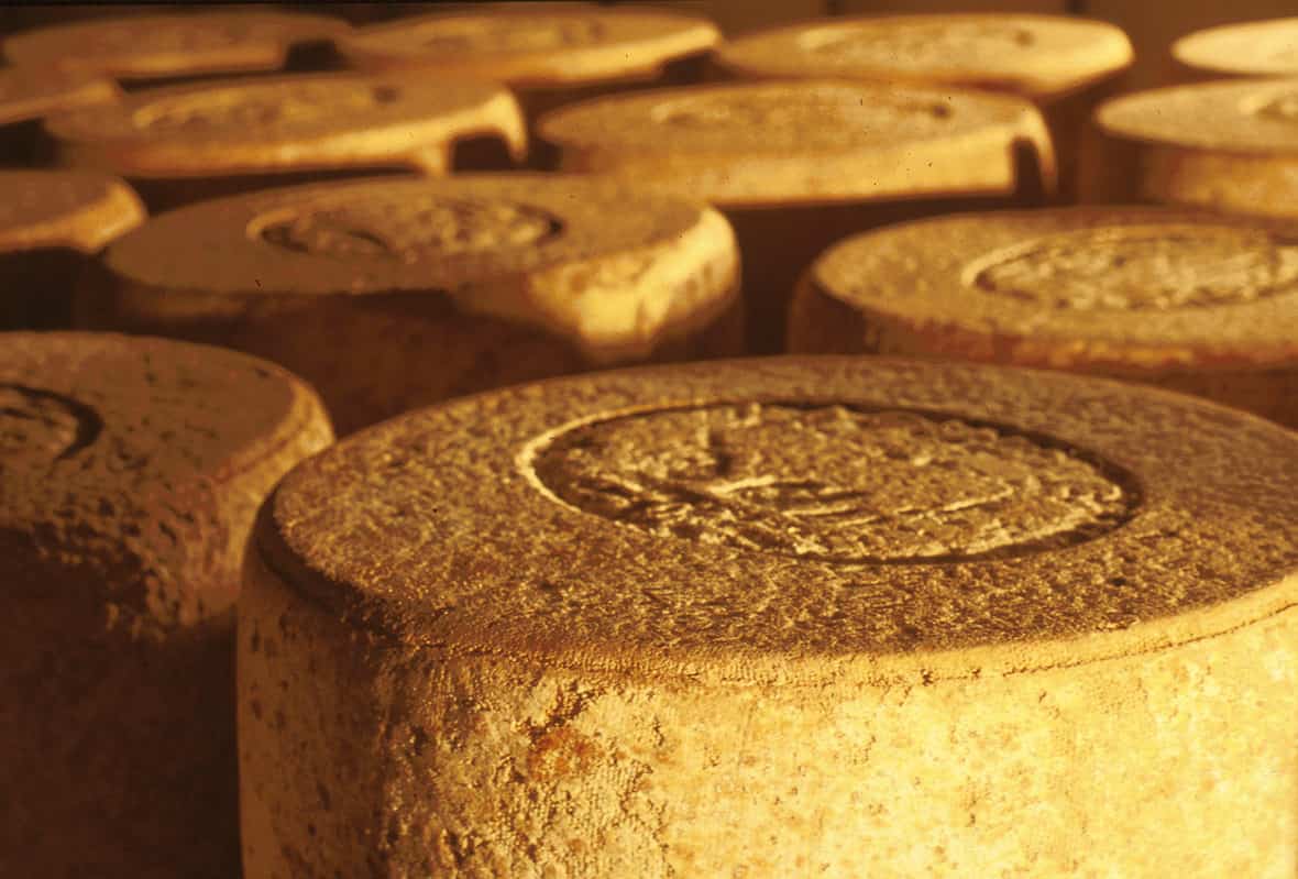 Fromage de la coopérative jeune montagne en Aveyron