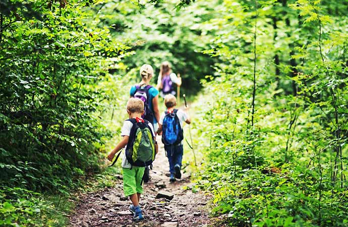 activité balade en fôret Sur les traces de Molière classe de découverte