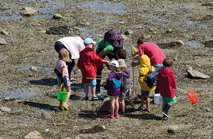 activité pêche à pied classe de mer