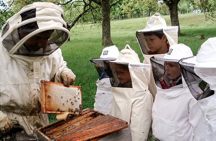 Image activité-rencontre-apiculteur Sur les traces de Molière Voyage Scolaire Côté Découvertes