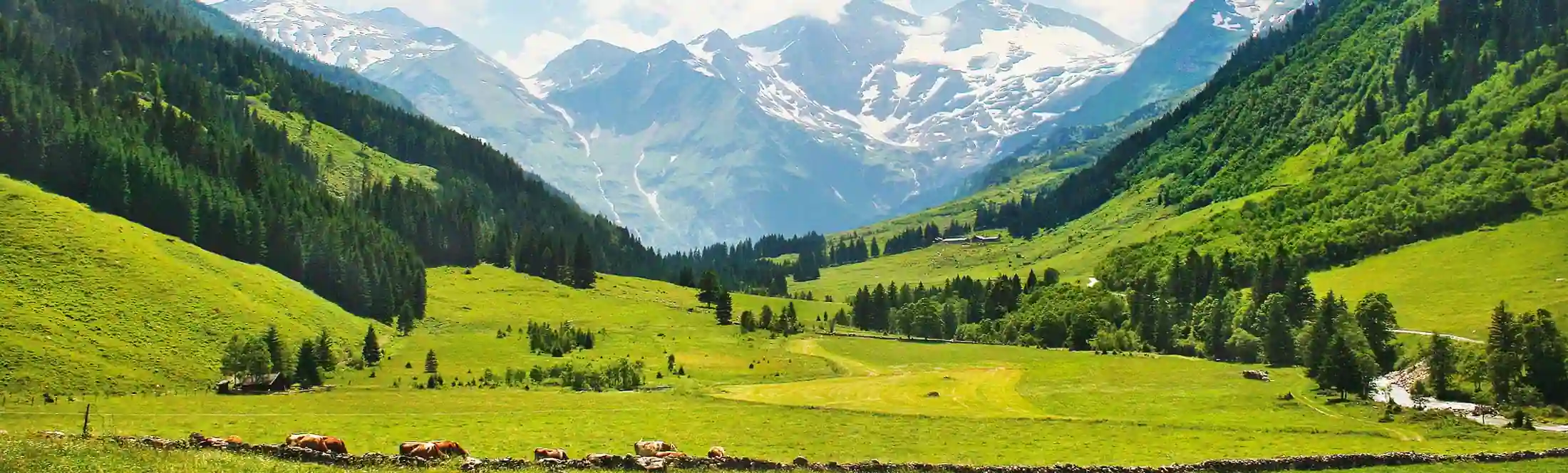 Vue sur les montagnes pendant la classe verte découverte du milieu montagnard