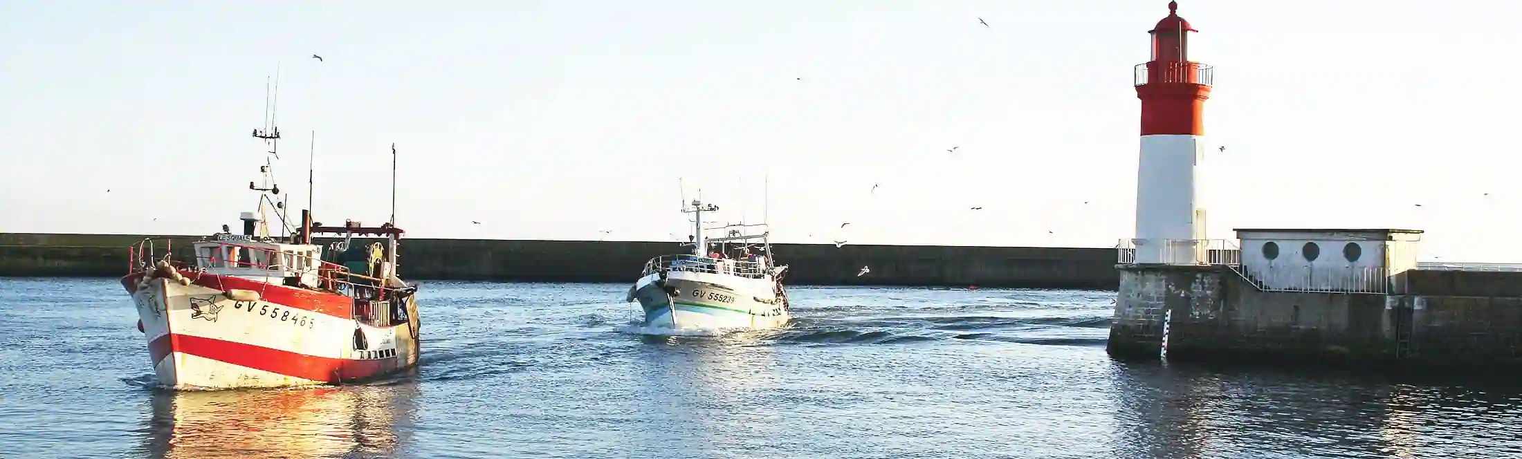 Découverte d'un port de pêche pendant une classe de mer en Bretagne hero-bretagne-sauvage
