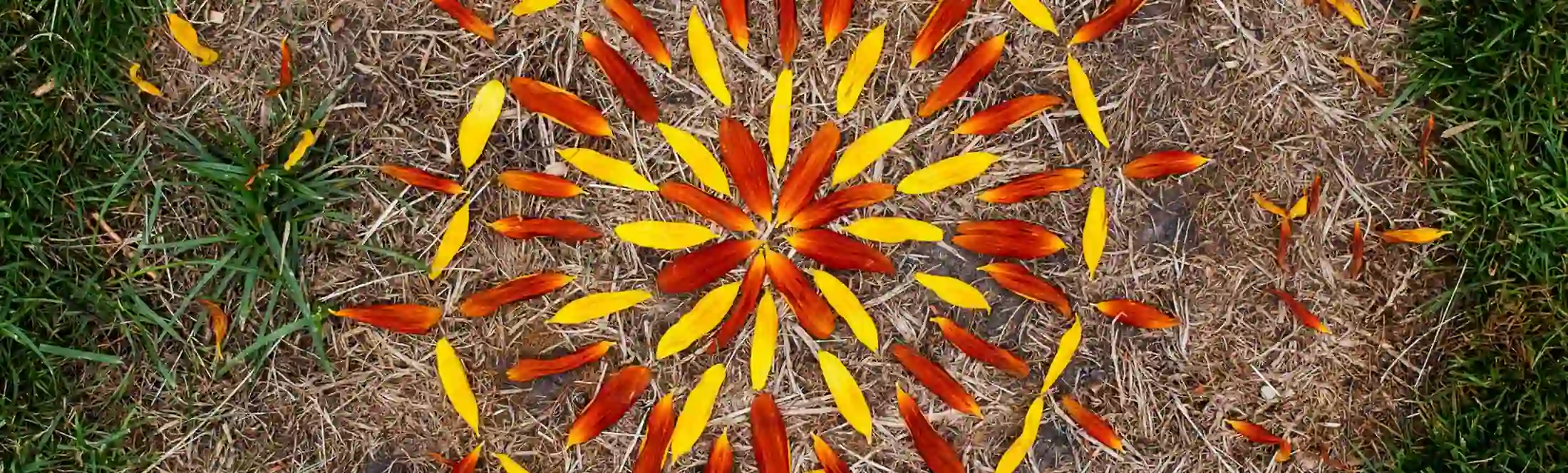 Réalisation d'une oeuvre Landart en voyage scolaire