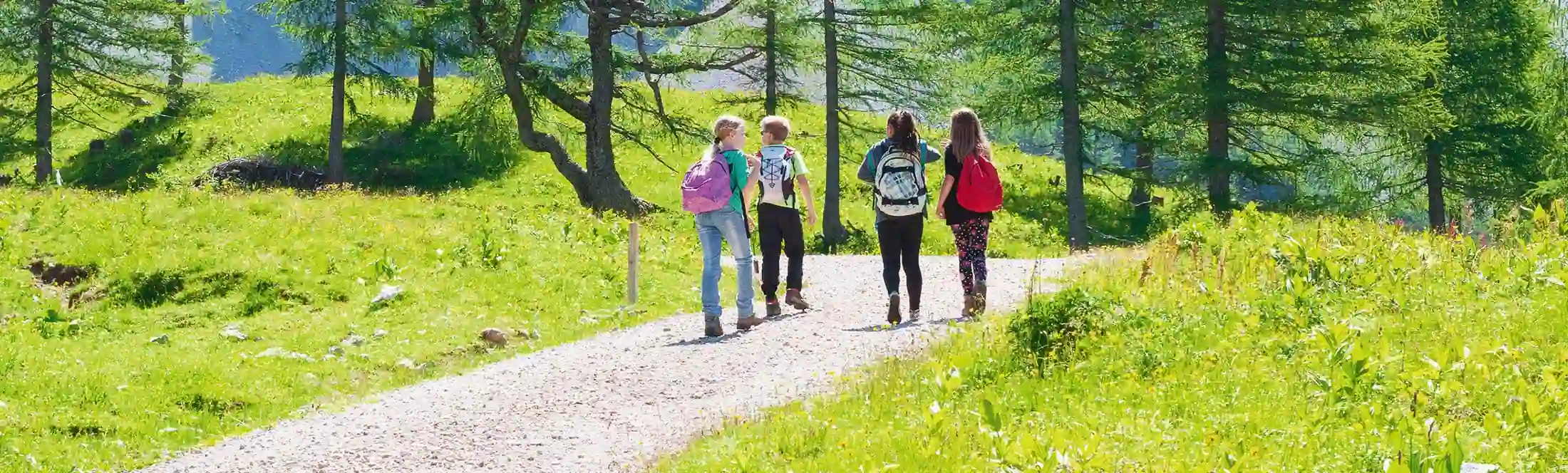 Classe verte avec des élèves de CP : randonnée nature