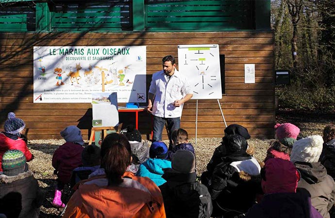 Atelier classe de mer : le marais aux oiseaux