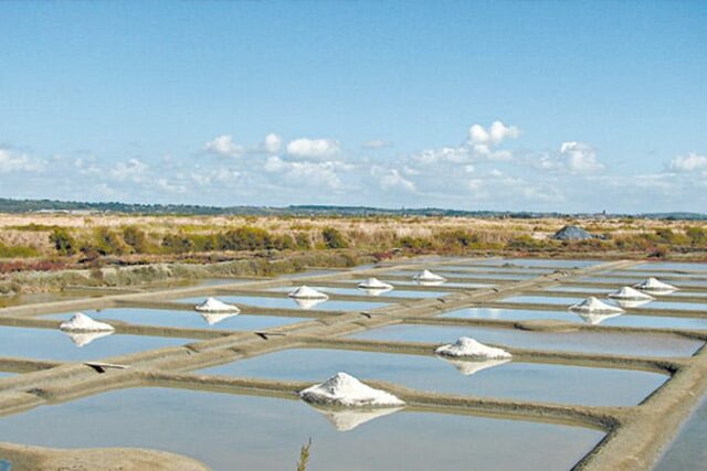 marais salants golfe du morbihan bretagne