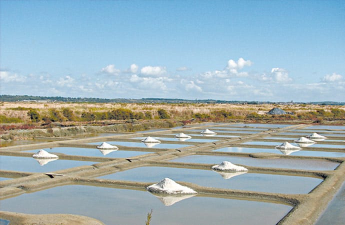 marais salants golfe du morbihan bretagne