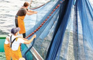 Image marins-pêche théâtre et milieu marin Morbihan Classe de découverte Côté Découvertes