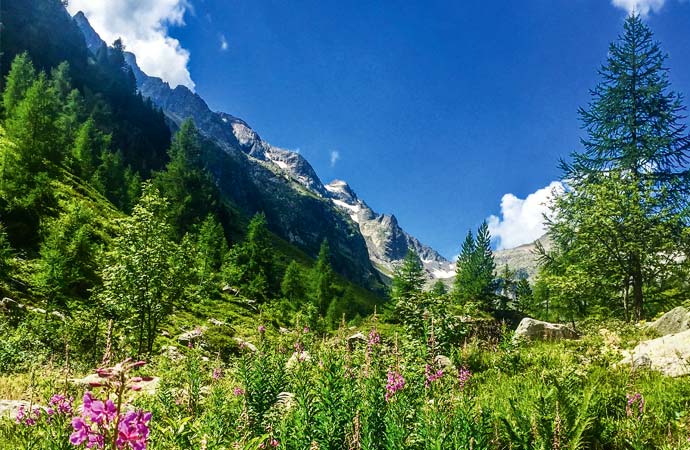 Paysage randonnée biodiversité réserve naturelle des Contamines