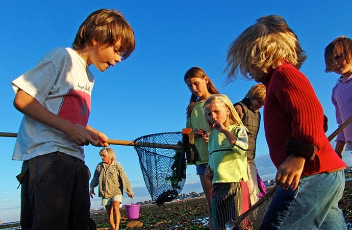 enfant activité pêche à l'épuisette classe de mer