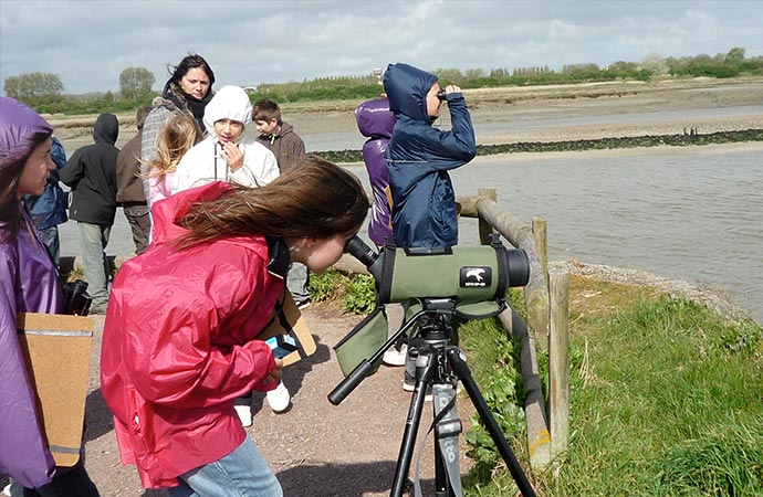 sortie enfants nature ornithologie classe de mer