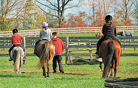 Image Equitation Classe de découverte Côté Découvertes