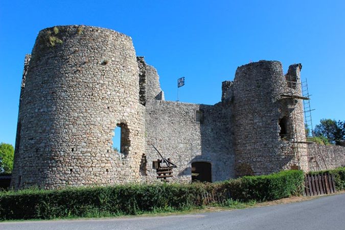 paysage vache nature montagnes alpage pré transhumance
