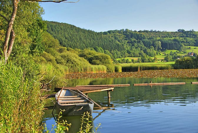 Rive du lac Pavin Maar