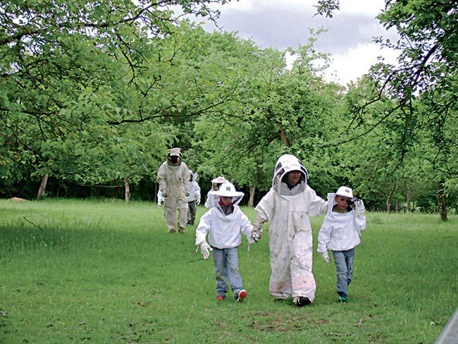 Image apiculteurs Classe de découverte Côté Découvertes