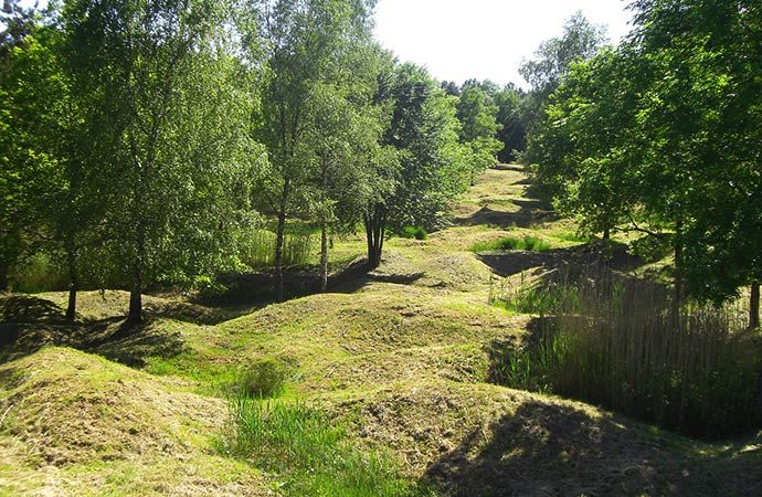 paysage butte-verdun guerre arbres