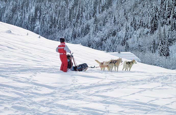 Image chiens-de-traineaux-enfants Classe de découverte Côté Découvertes