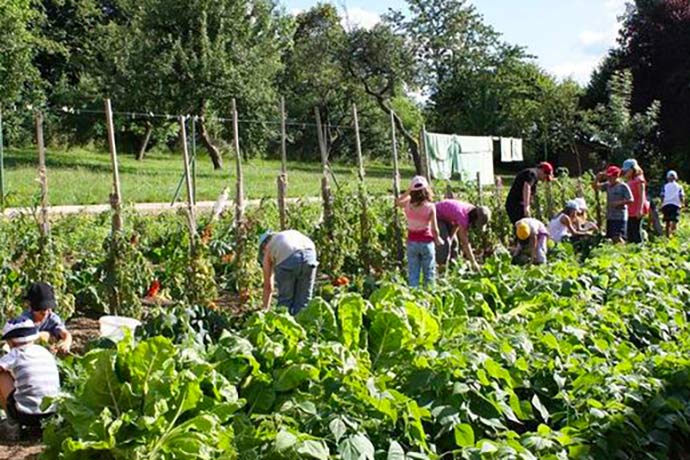 Image ferme-potager enfants Classe de découverte Côté Découvertes