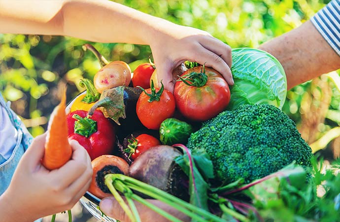 Enfants qui touche des légumes dans un panier