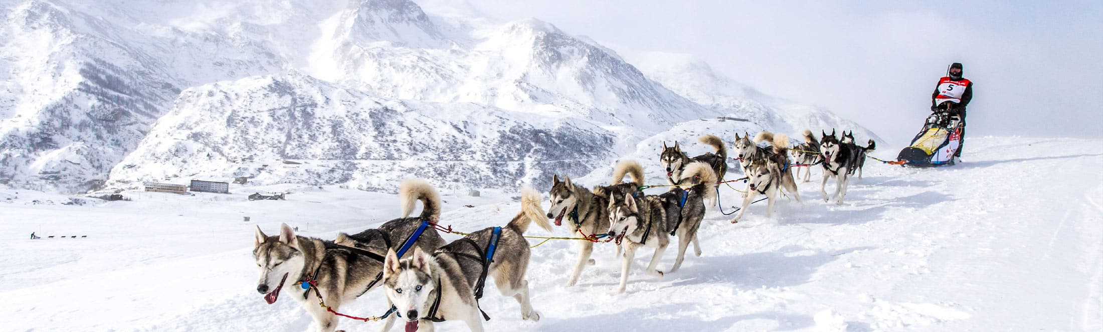 Image header-la-grande-odyssee Classe de découverte Côté Découvertes