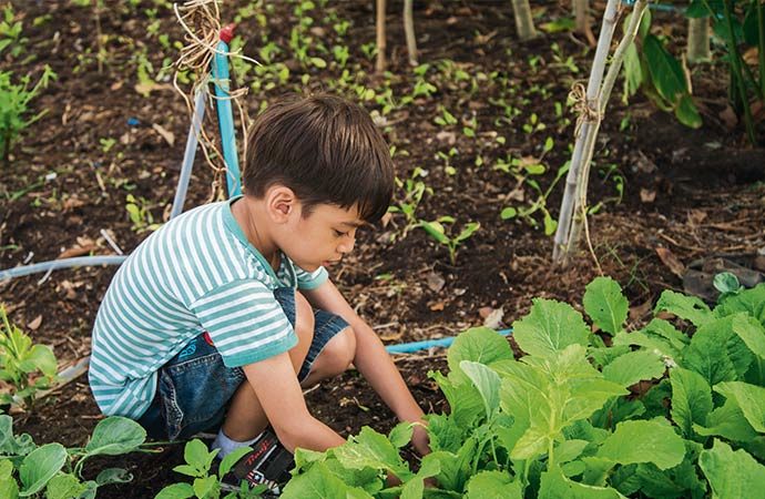 élève qui jardine dans un potager apprentissage développement durable