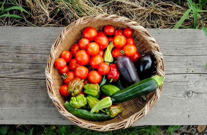 Panier de légumes du potager