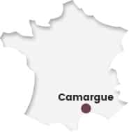 carte france camargue