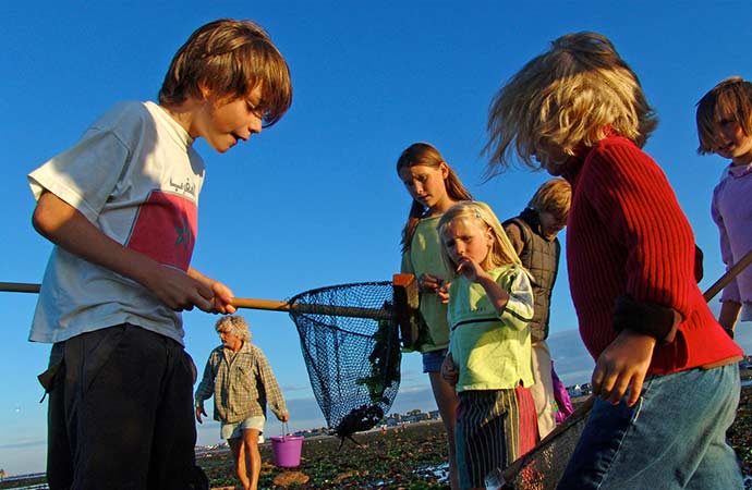 activité élèves pêche-à-pied épuisette classe découvertes