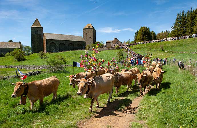 Transhumance