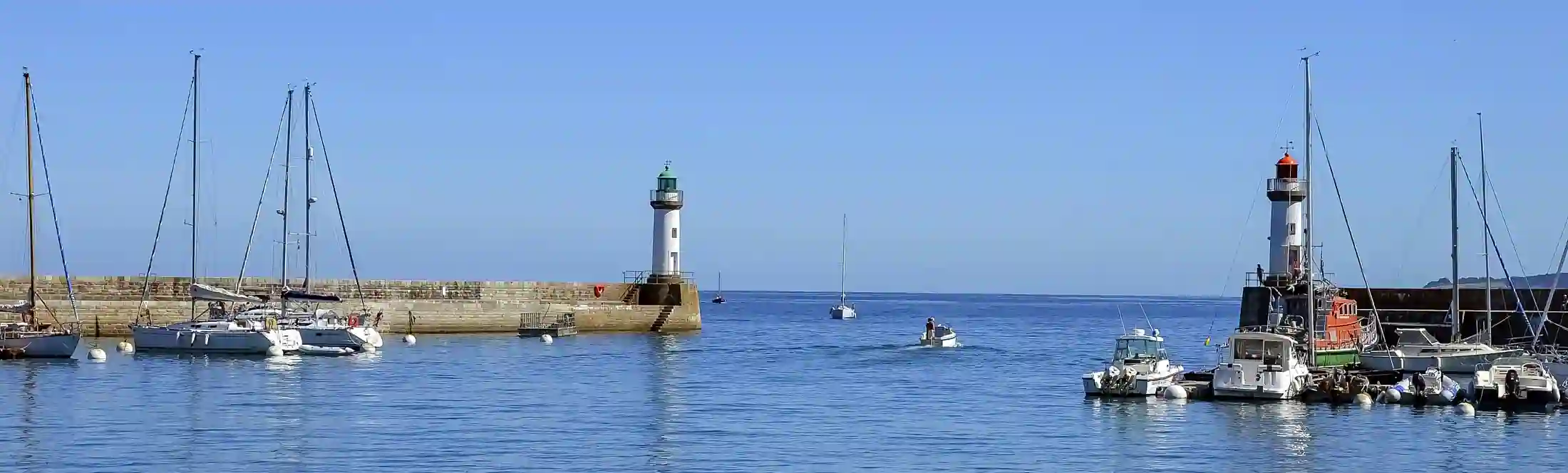 Découvertes du milieu marin pendant la classe de mer dans le Morbihan