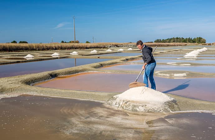 image marais salants classe de découvertes classe de mer vendée Cote Decouvertes