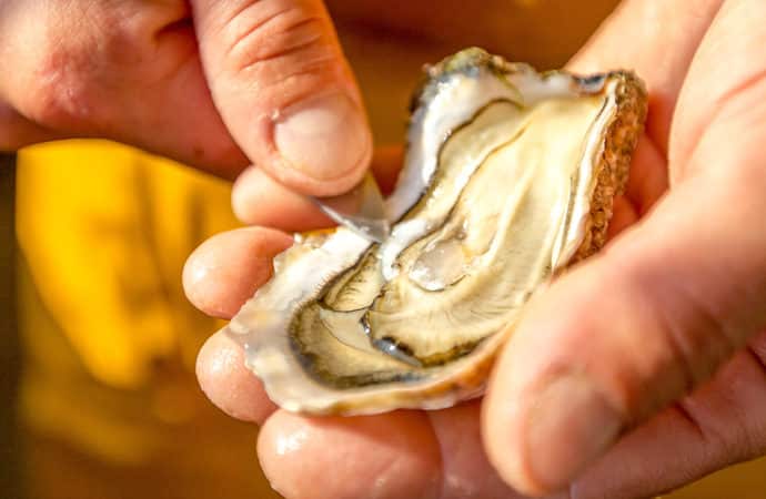 huitre ouverte classe de mer vendée