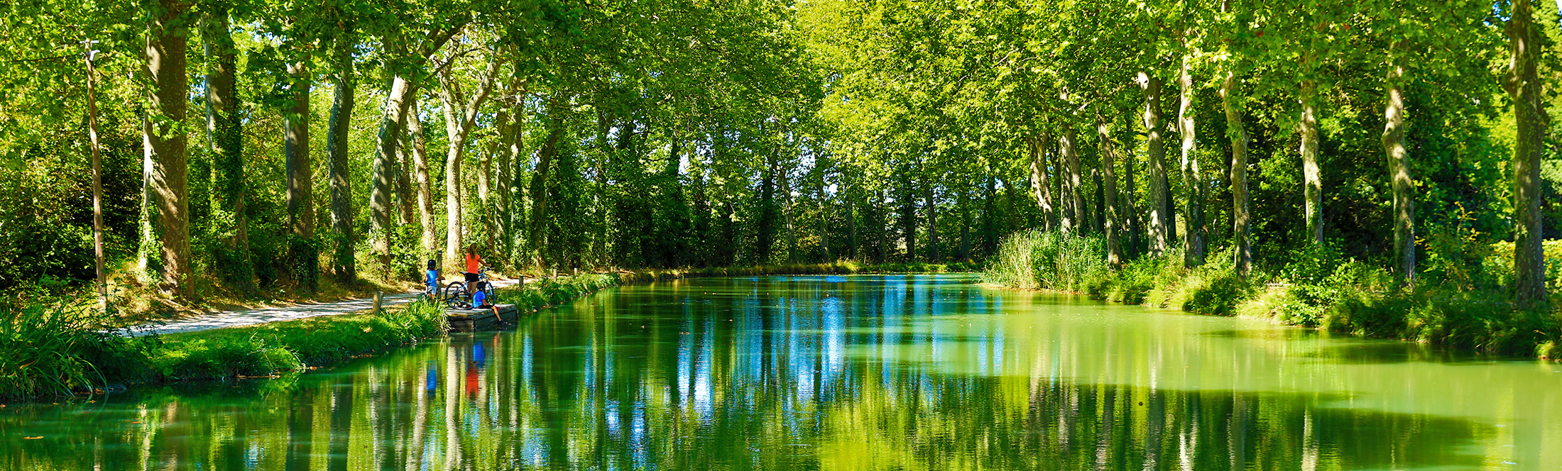 Vue sur le canal du midi © Dominique Viet