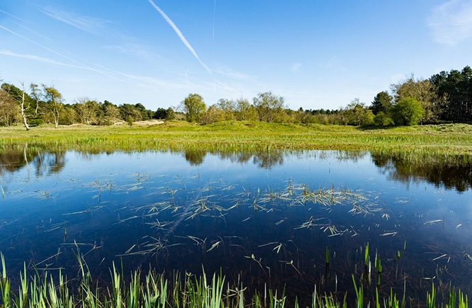 le parc du Marquenterre dans la baie de Somme