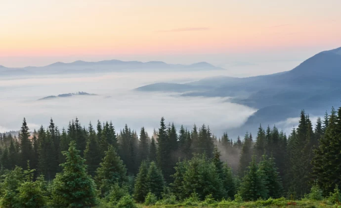 vue mer de nuages et sommet montagne avec sapins