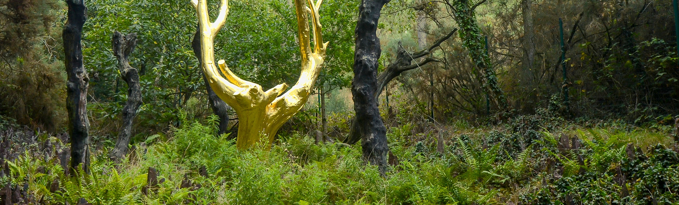 Arbre d'or dans la forêt de Brocéliande