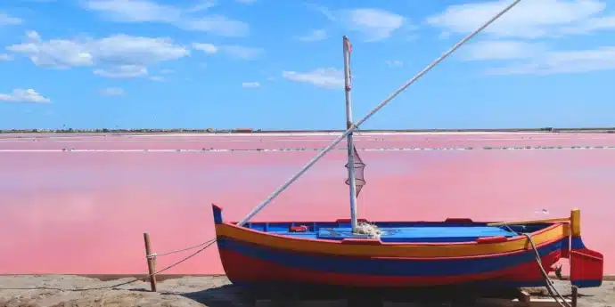 salin rose et bateau sur l'Île de Saint-Martin de Gruissan