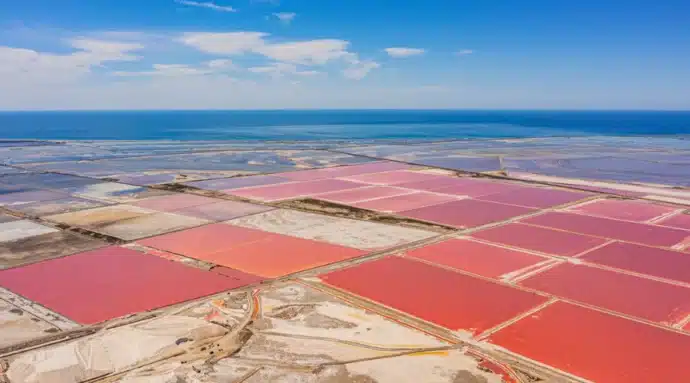 mosaïque marais salants rose