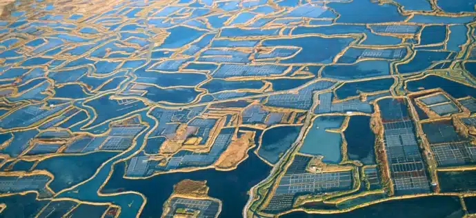mosaïque bleu les marais salants de guérande