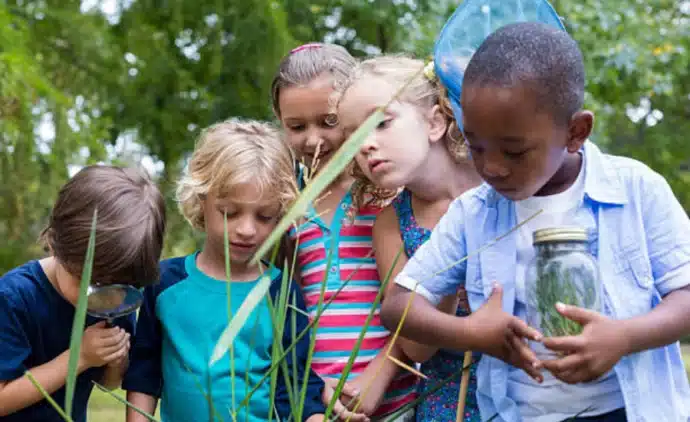 eleves observation nature en classe verte