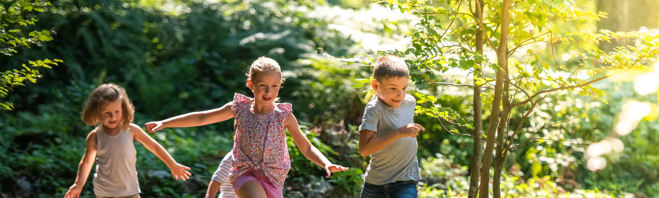 eleves CE1 dans la nature en classe de découverte