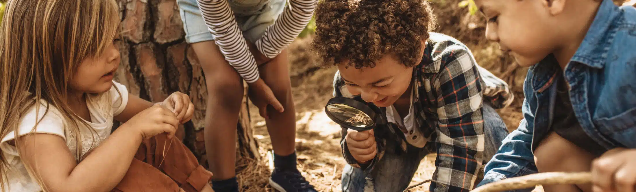 eleves de maternelle observation nature classe de découvertes