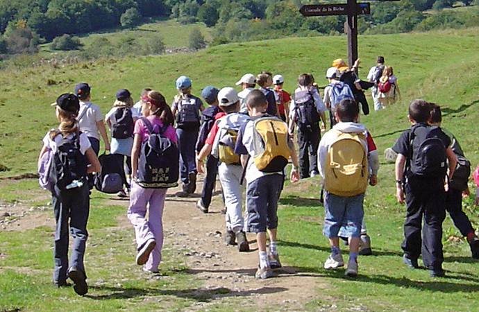 groupe d'élèves en randonnée en classe verte à la montagne