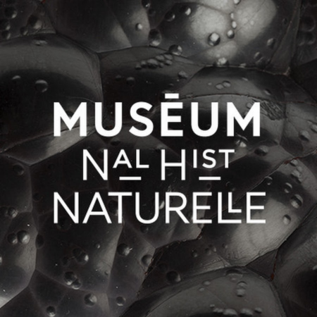 vignette chaîne YouTube Musée d'Histoire Naturelle