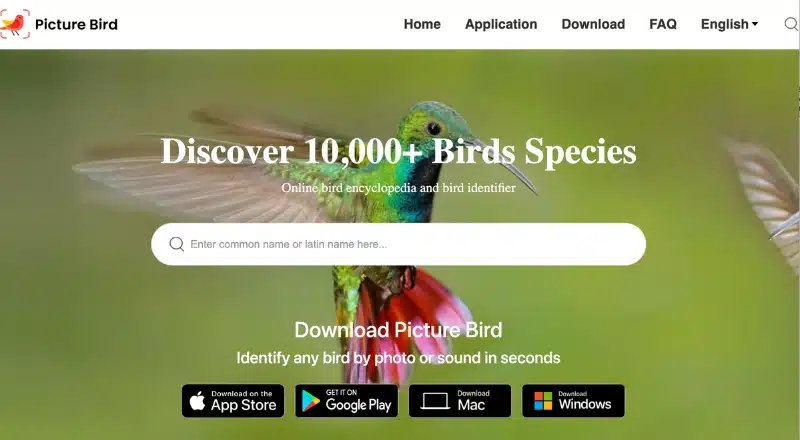 vignette podcast Les voyages d'Amélia