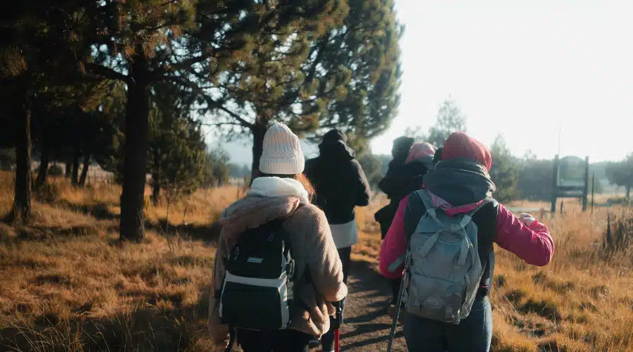 ados-automne-nature élèves adolescents marchant dans la nature en automne